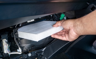 Air & Cabin Filter