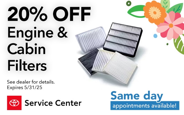 Engine & Cabin Air Filters