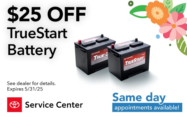 TrueStart Battery