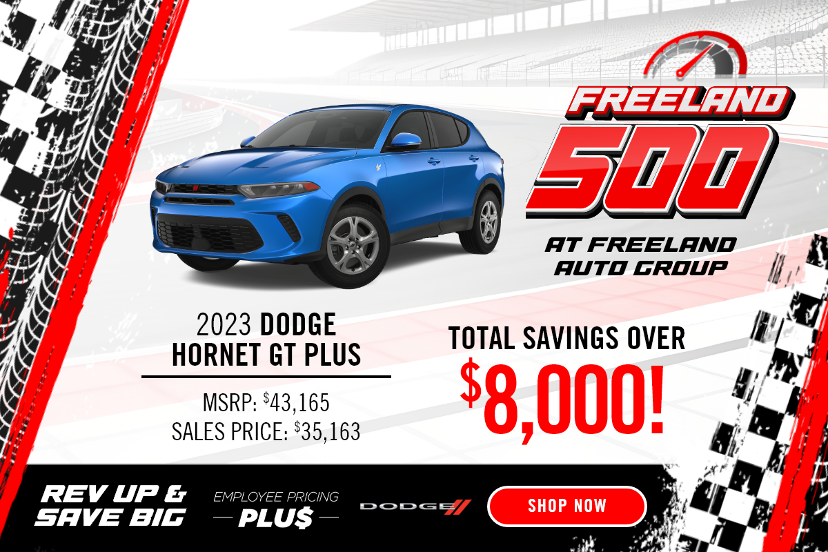 DODGE HORNET