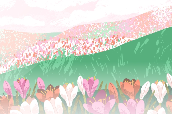 Mother’s Day Special