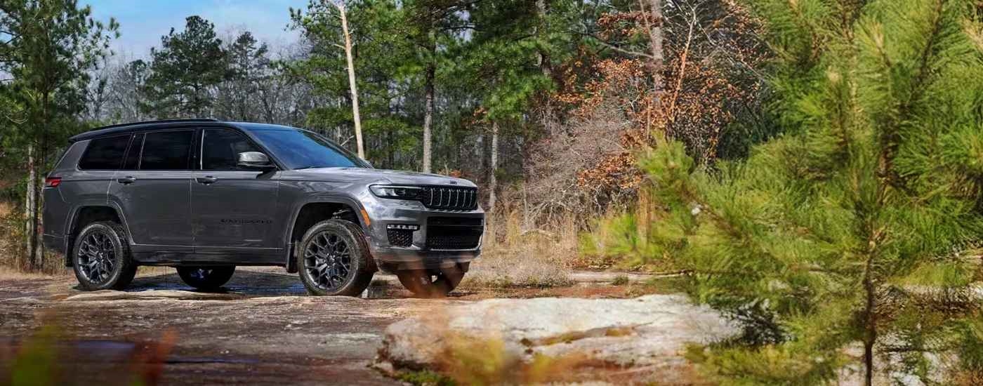 Grey 2025 Jeep Grand Cherokee parked in a forest.