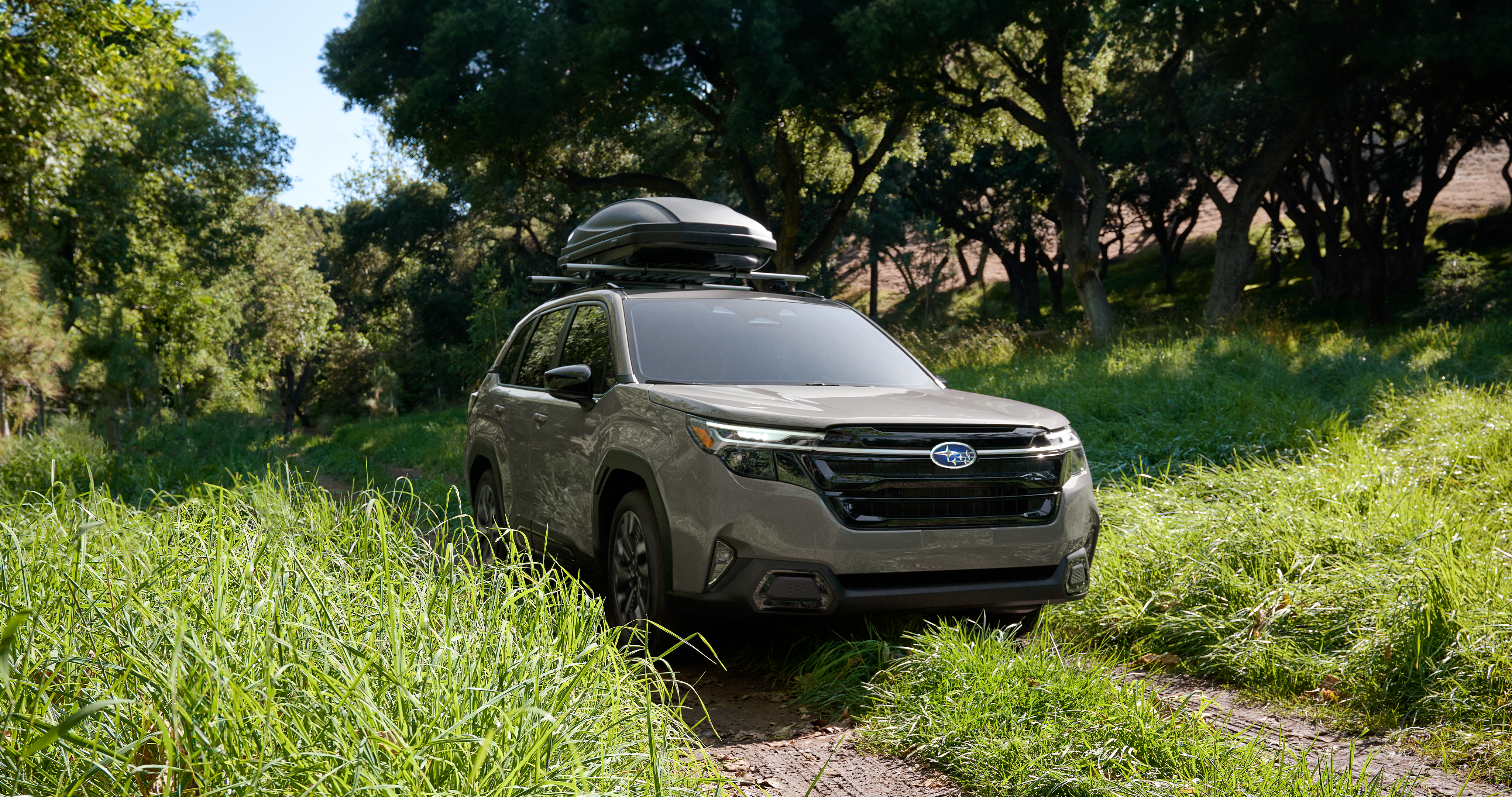 New Subaru Dealer near Me