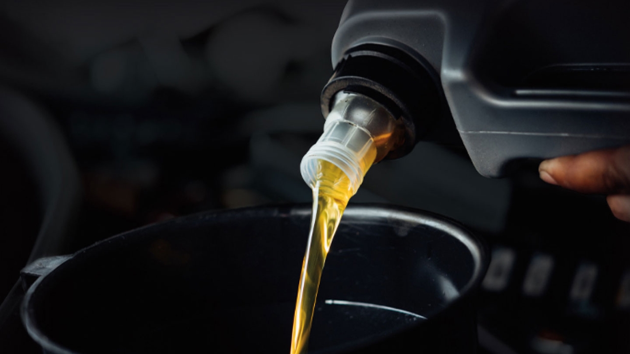 Oil & Filter Change 