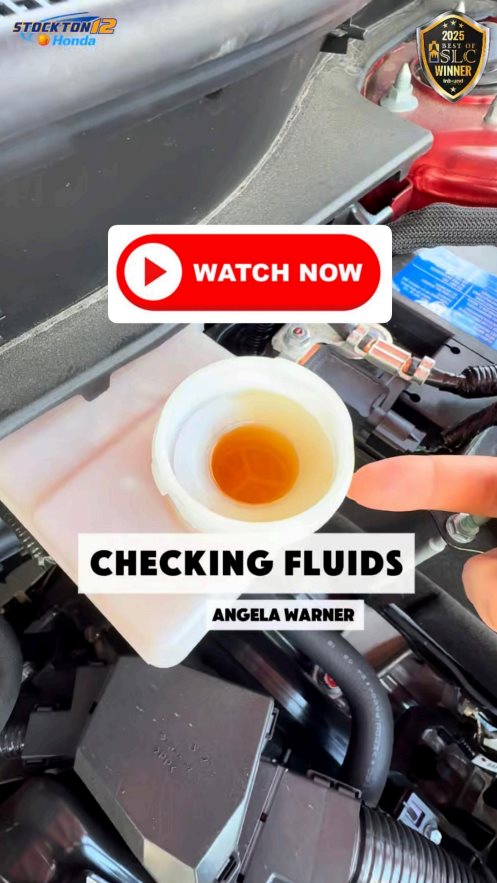 Quick Fluid Checks: What Every Honda Owner Should Know!
