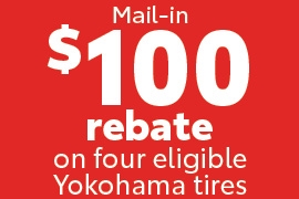 $100 Rebate