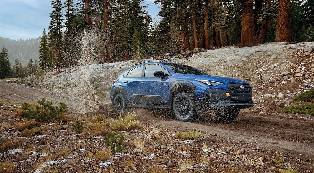 Blue 2025 Subaru Crosstrek Wilderness for sale near Millbrook driving down a dirt road.