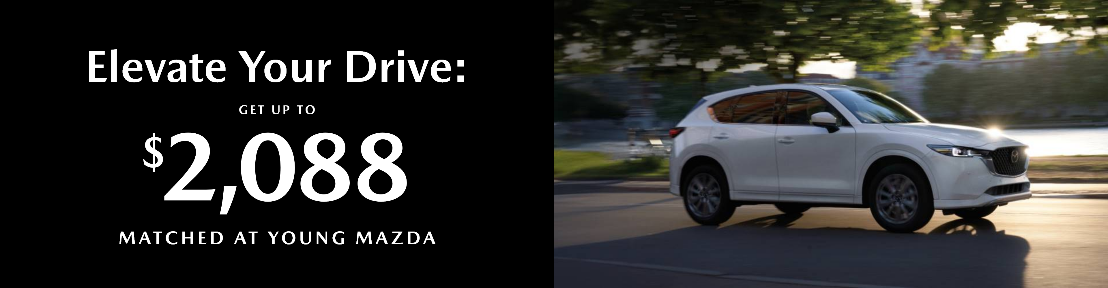Elevate Your Drive
