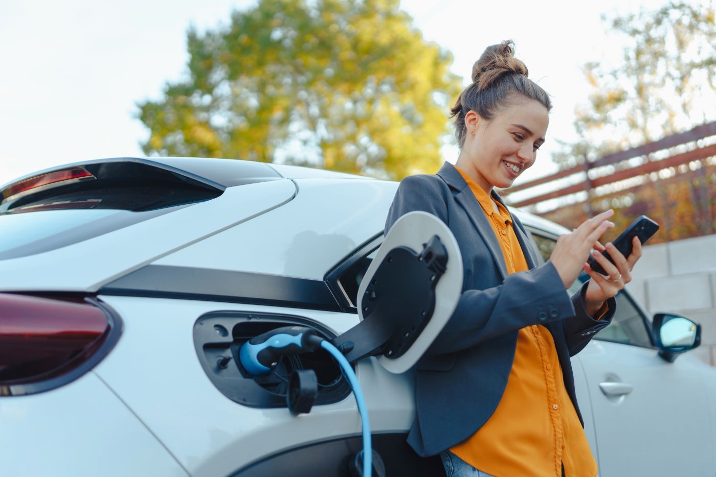 Electric Vehicle Dealer near Temple Terrace FL