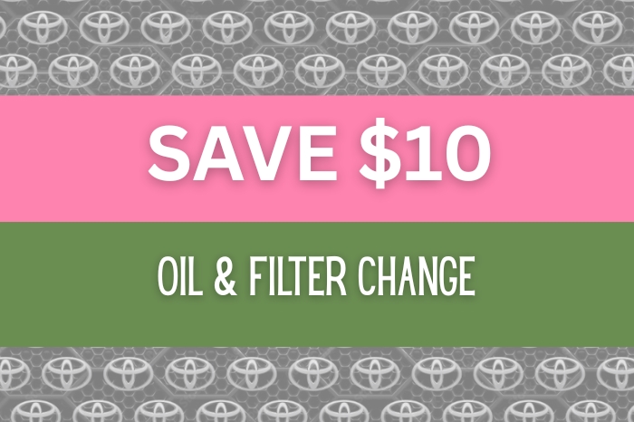 Oil & Filter Change