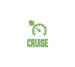 Volkswagen warning light indicator for cruise control being on