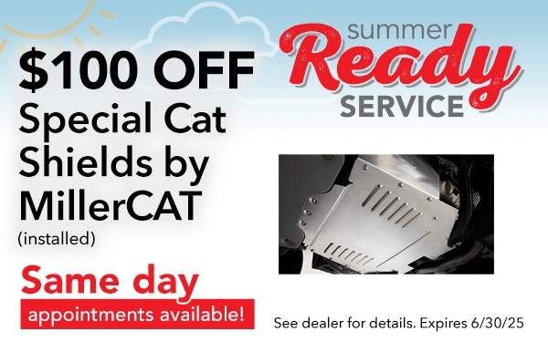 Special Cat Shields 