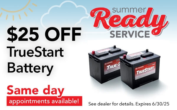 TrueStart Battery