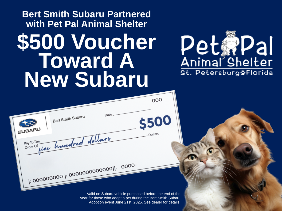 Pet Pal Animal Shelter