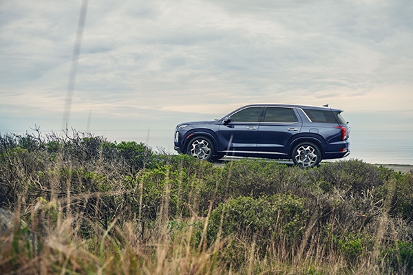 Kia SUV Exterior - Pre-Owned Cars Charleston near North Charleston, SC