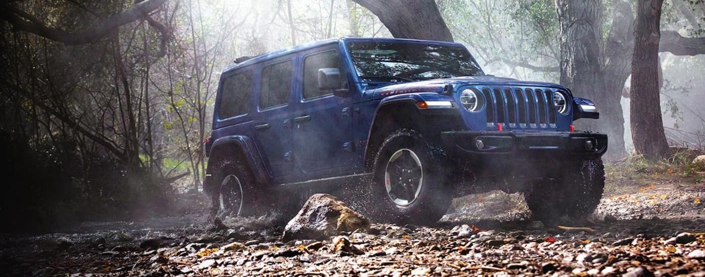 Blue 2025 Jeep Wrangler for sale in Rhinebeck parked in a forest.
