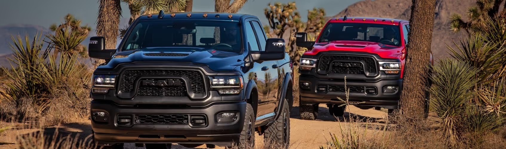 Ram Trucks Driving Through the Desert's Joshua Trees