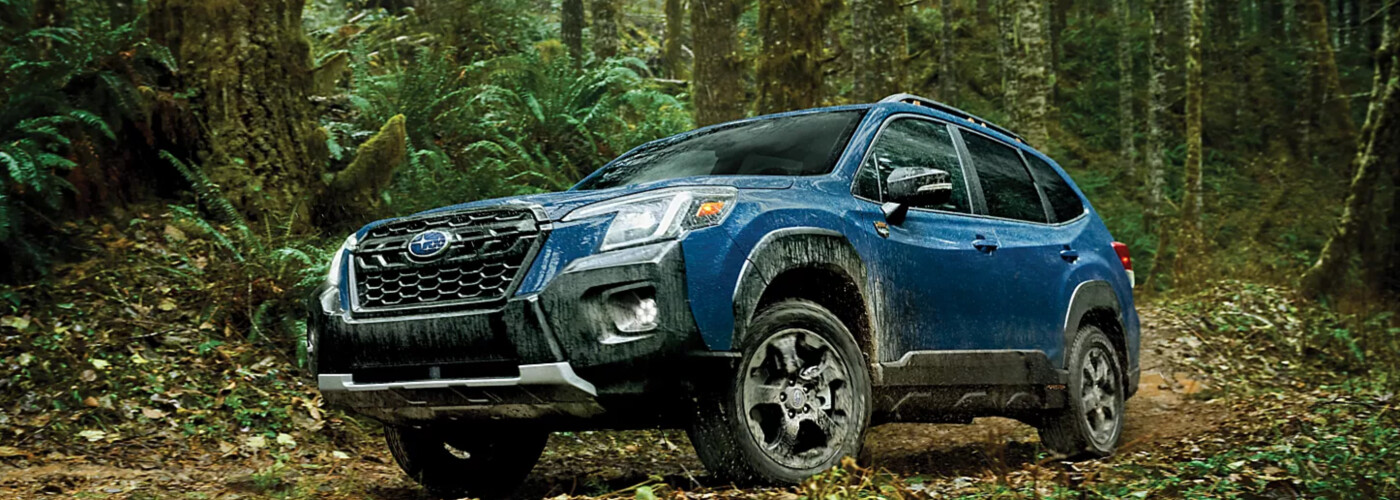 Elk Grove Subaru Elk Grove CA