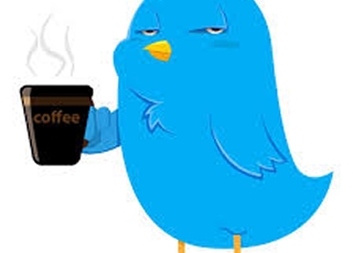 Early Bird Special