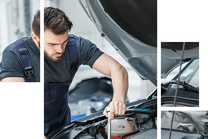 Naples Mazda Naples FL