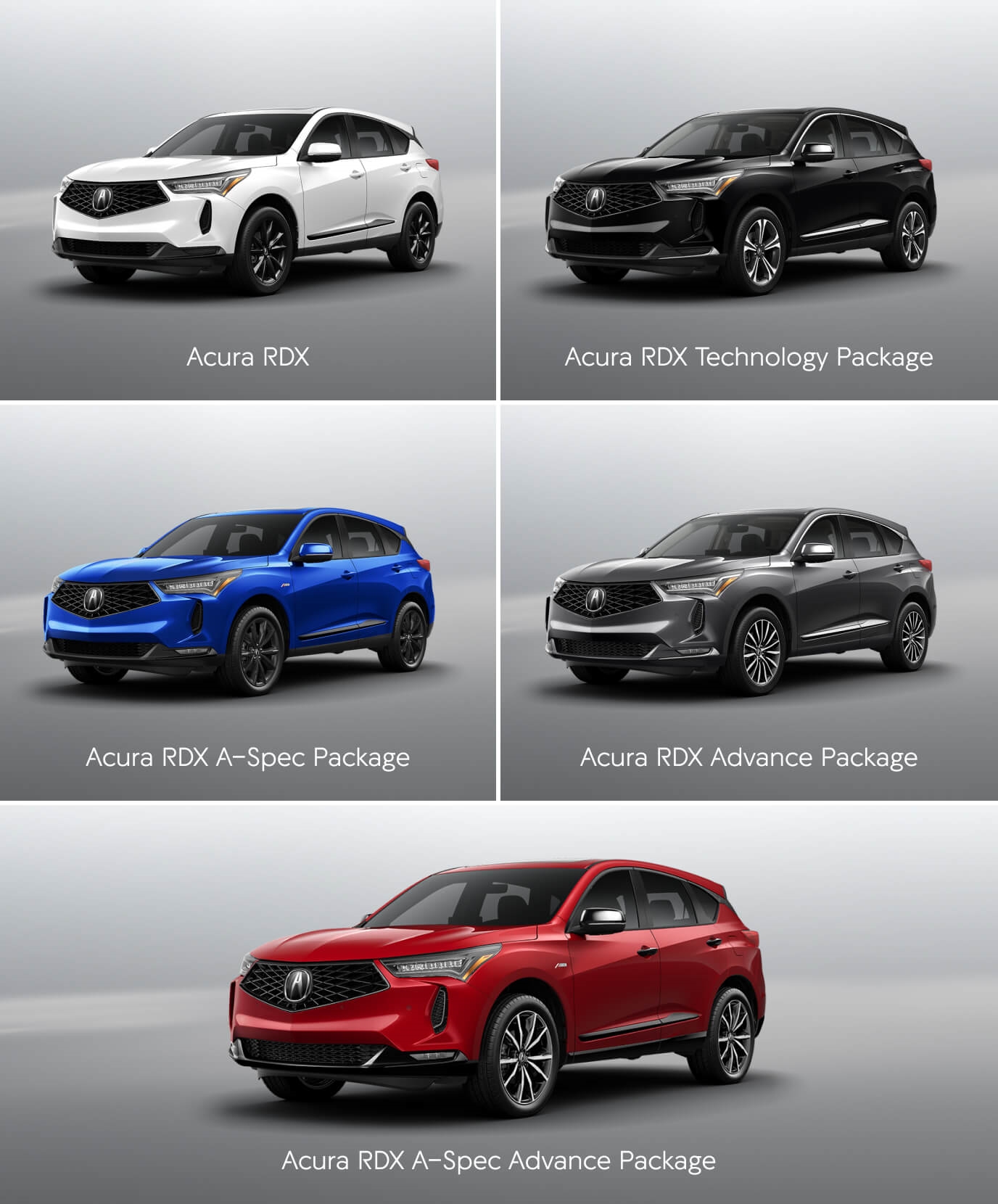 2025 Acura RDX Trim Levels