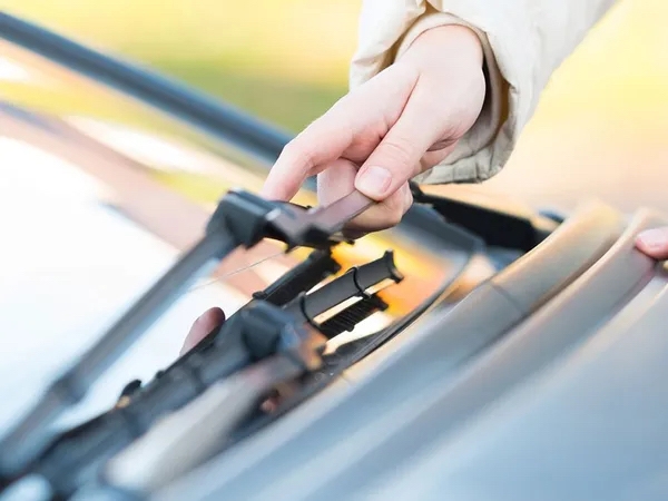 Wiper Insert Replacement 