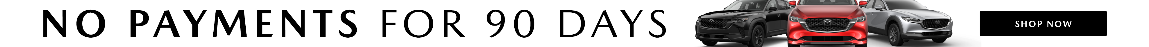 Pencil Banner