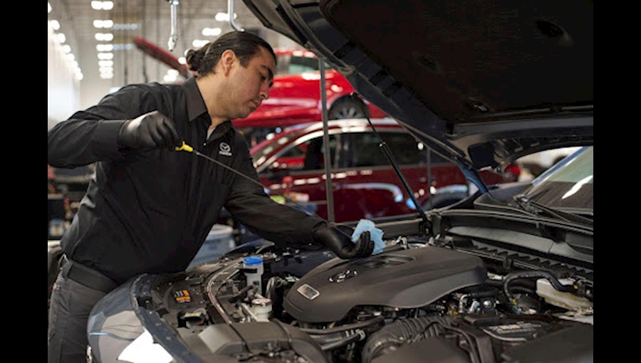 Expert automotive service and maintenance