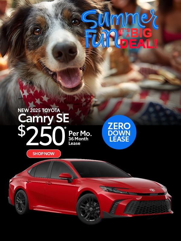 Camry SE