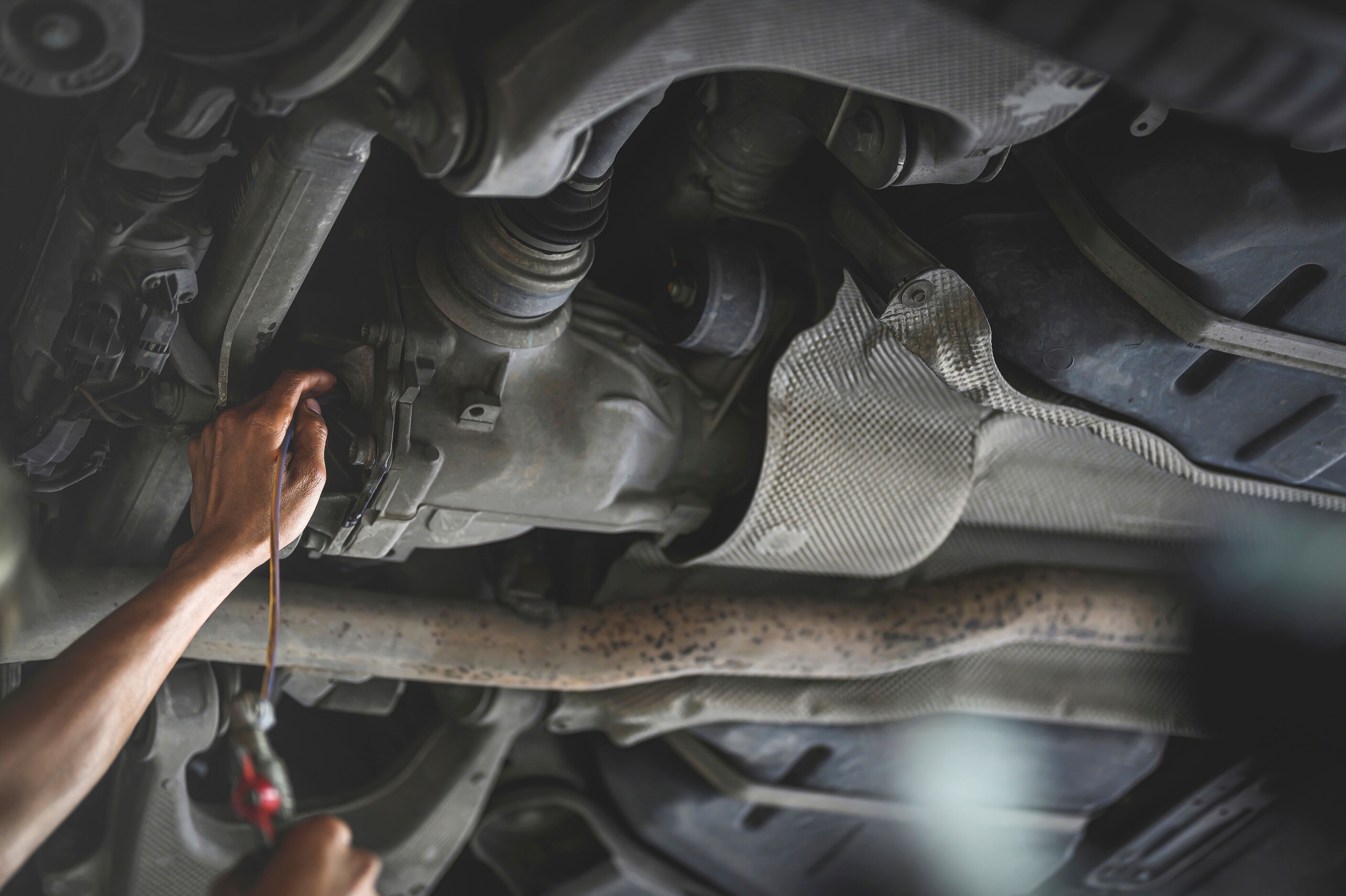 Rear Differential Fluid