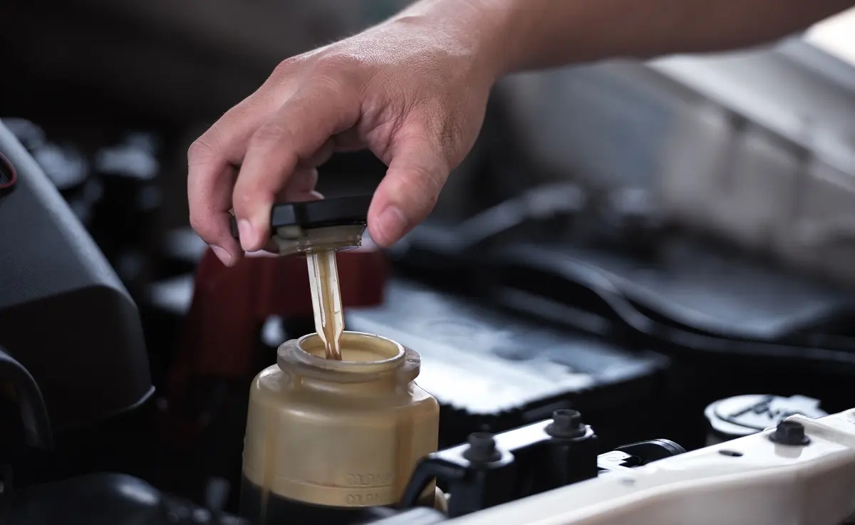 Power Steering Fluid Exchange