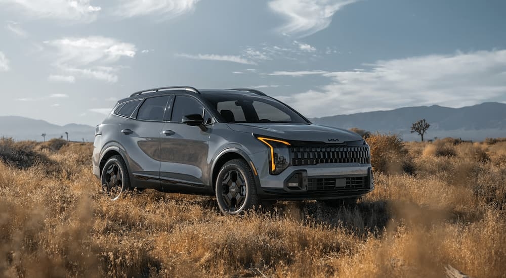 Grey 2026 Kia Sportage parked in a field