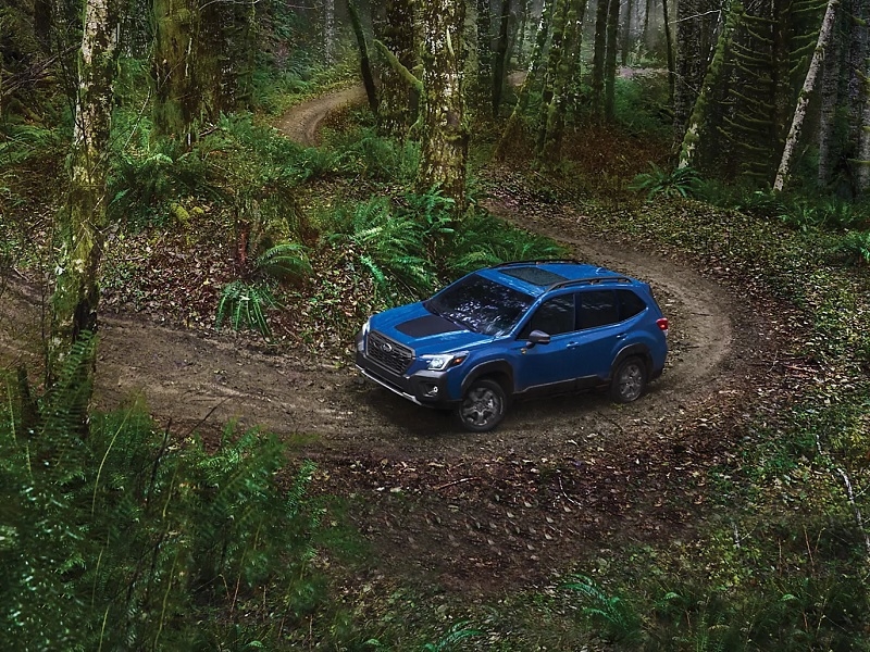 Subaru SUV Offroading