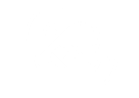 BLIND SPOT MONITORING