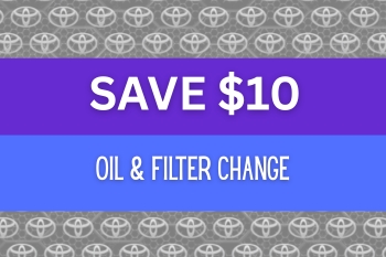 Oil & Filter Change