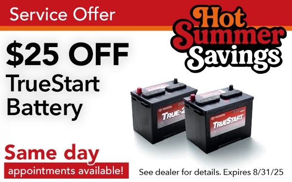 True Start Battery
