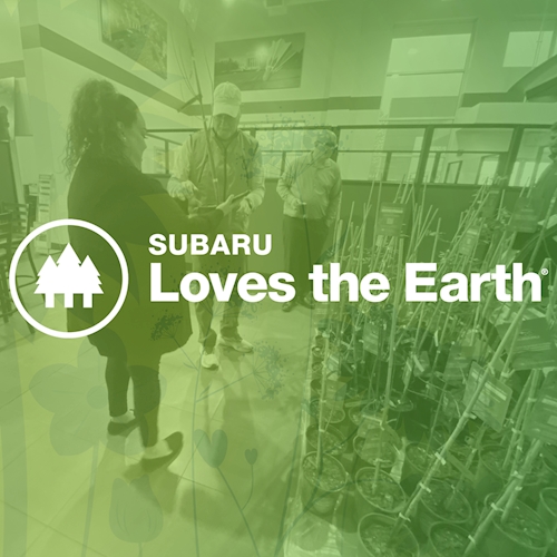 Subaru Loves the Earth