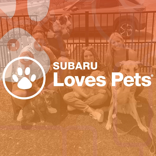 Subaru Loves Pets