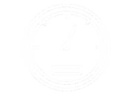 STANDARD INSTRUMENT CLUSTER