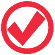Inspection Icon