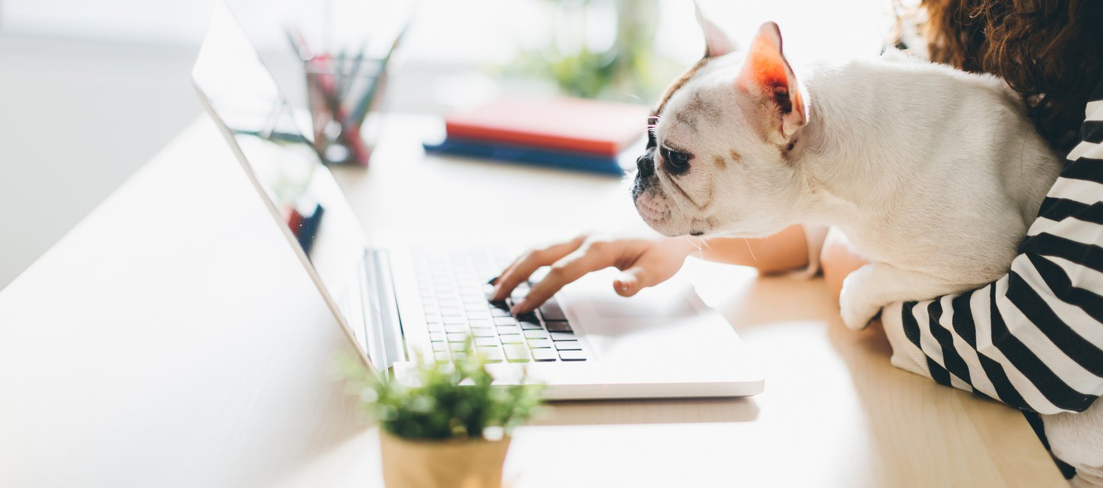 McGrath Nissan of Elgin Elgin IL