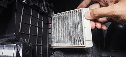 Cabin and air filters 