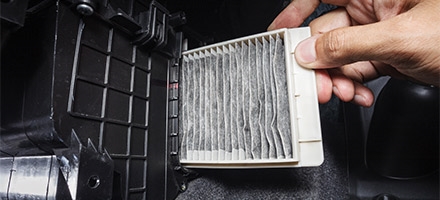 Cabin Air Filter