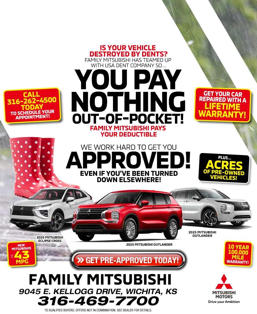 Family Mitsubishi