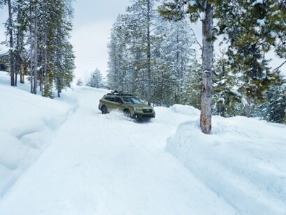 Berman Subaru of Chicago Chicago IL