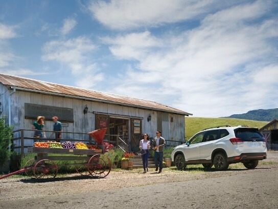 Berman Subaru of Chicago Chicago IL