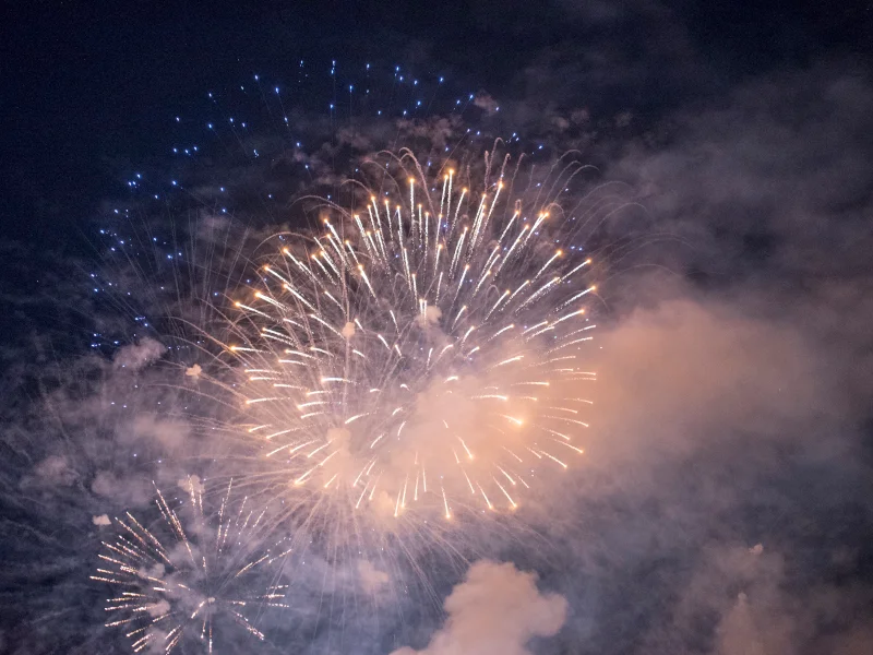 Ferrario Ford Elmira NY