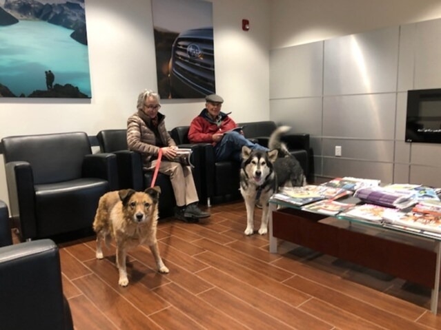 Rimrock Subaru of Billings Billings MT
