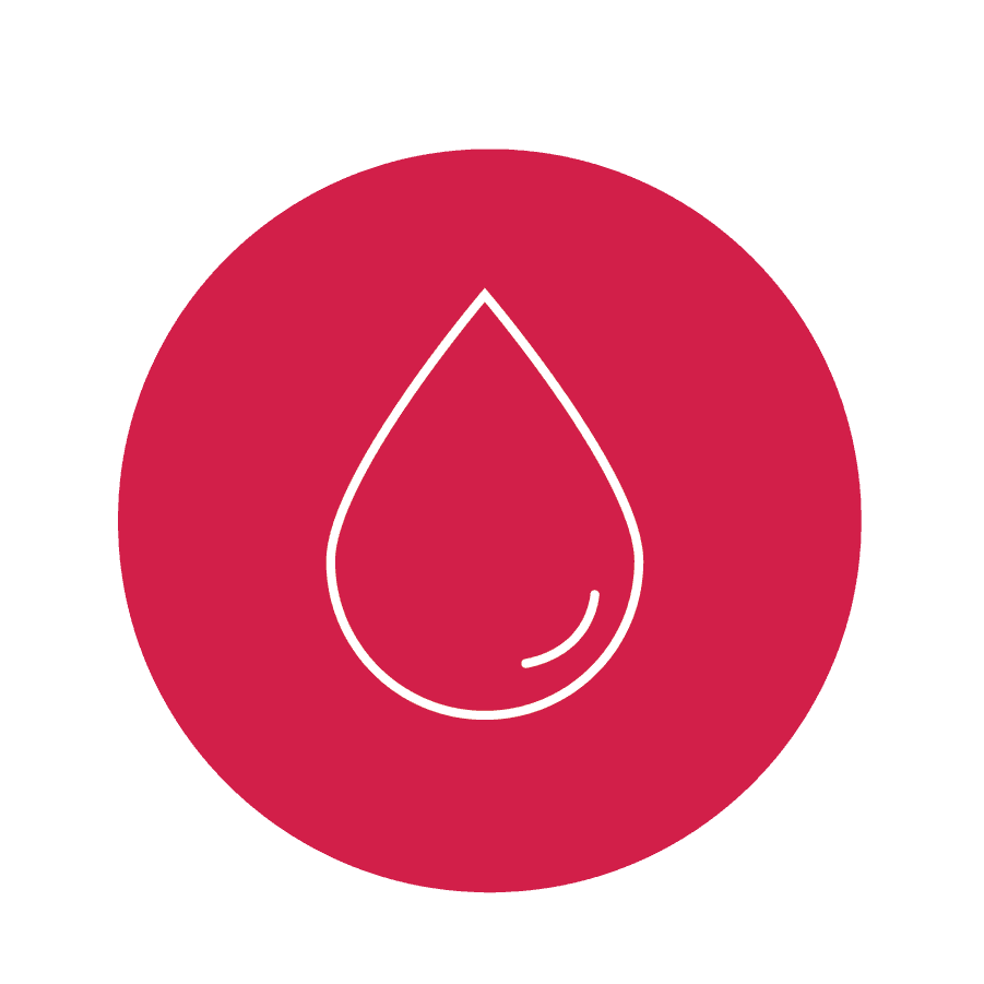 Nissan of Venice Venice FL