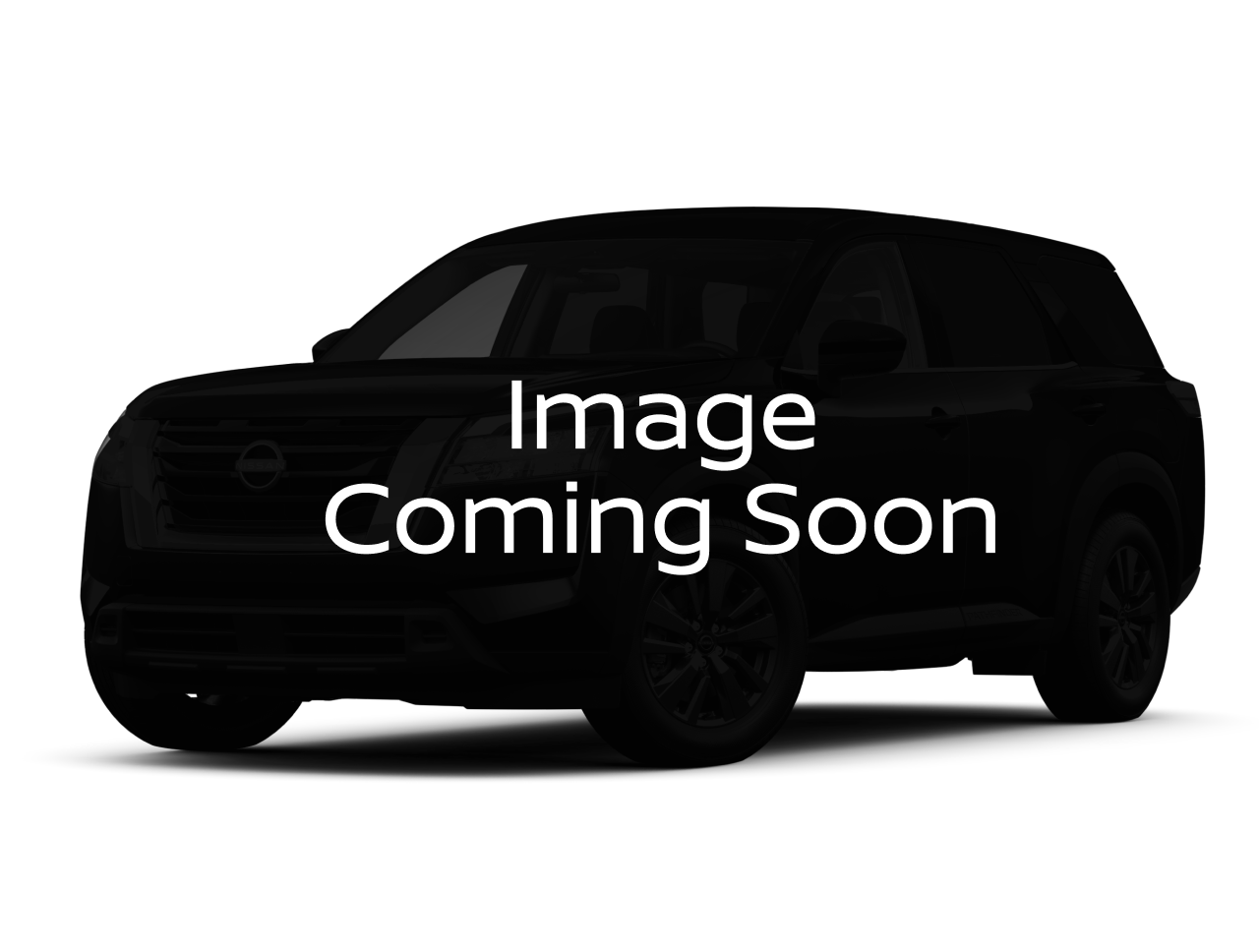 Nissan Rogue Dark Armor